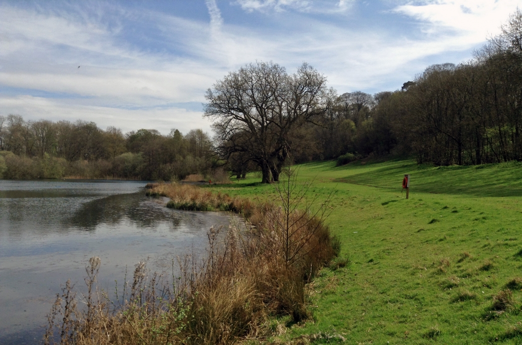 Panshanger Park Herts and Middlesex Wildlife Trust